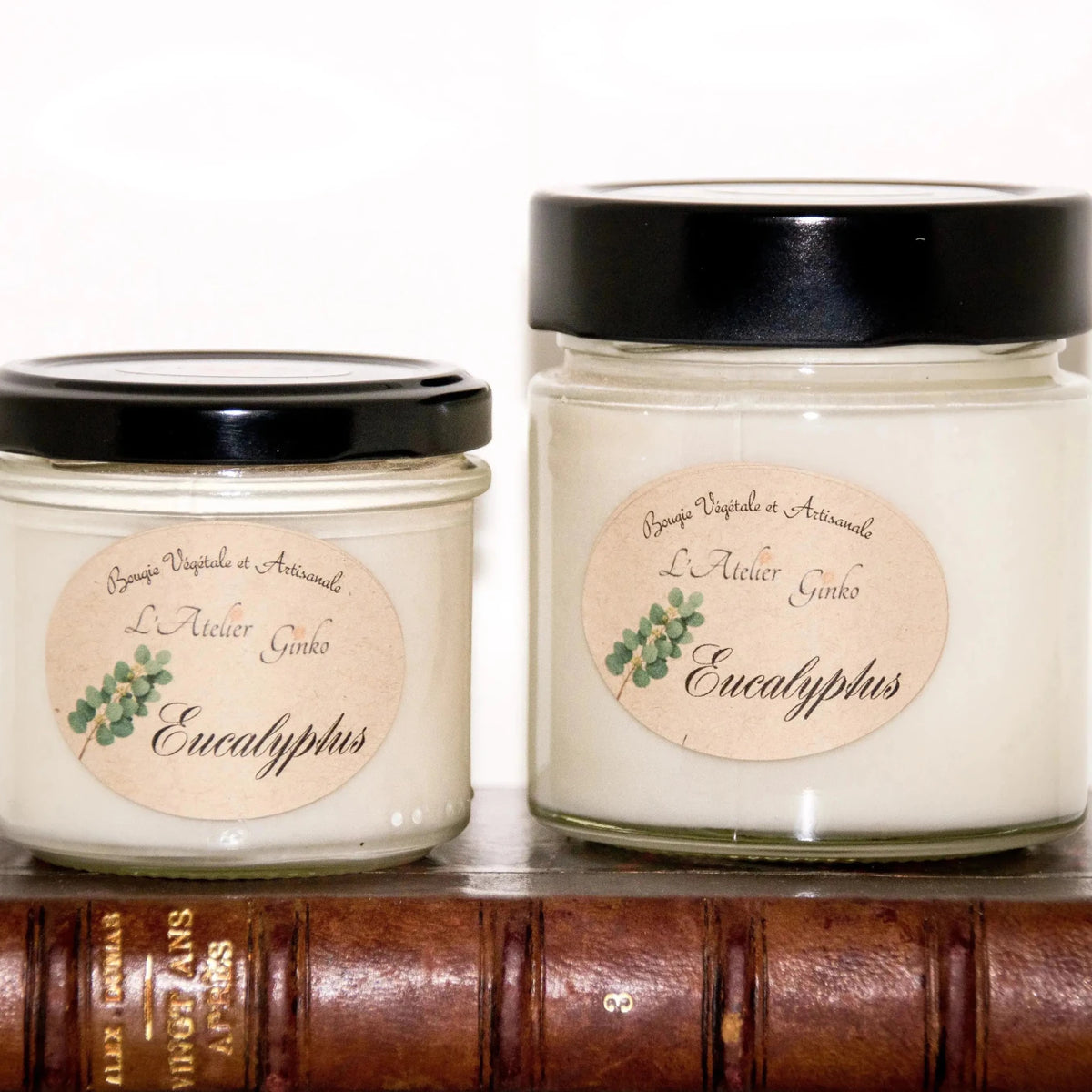 Bougie parfumée Eucalyptus - L'Atelier Ginko - Boutique en Ligne