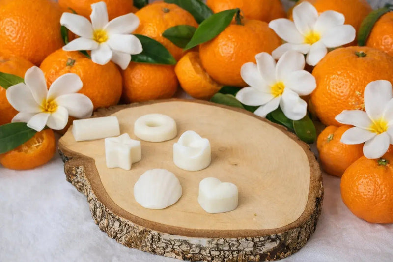 fondants parfumés artisanaux Fruités L'Atelier Ginko - Boutique en Ligne